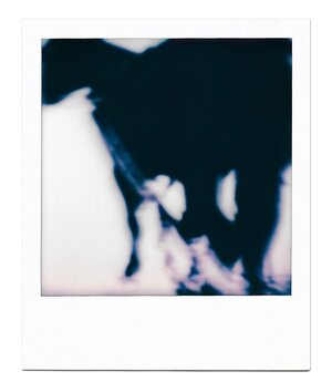 Untitled (After Susan)